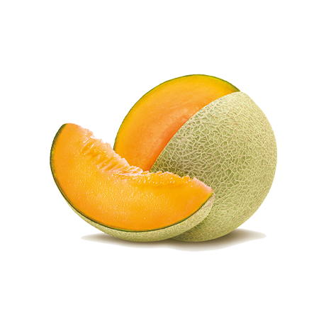 Cantaloupe Melon